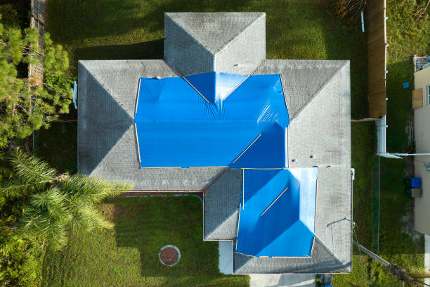 Best Roof Moss and Algae Removal  in East Quincy, CA
