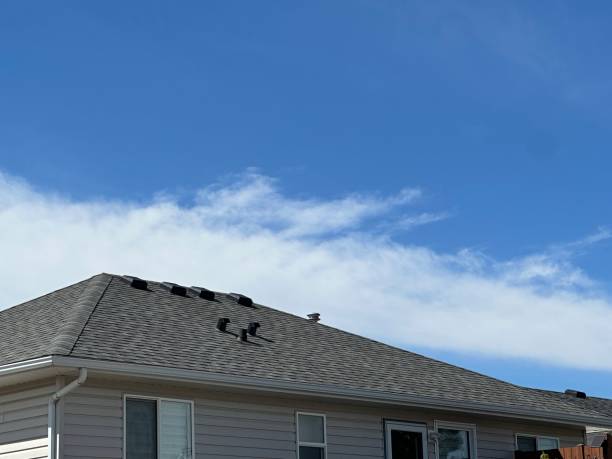 Professional Roofing Services in East Quincy, CA